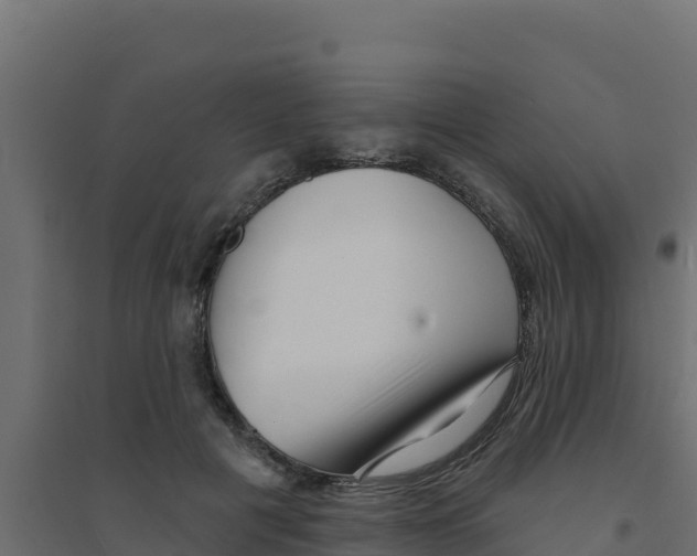 X0000094190601200711241617