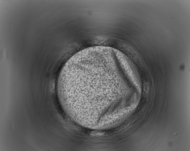 X0000094190602200711241617