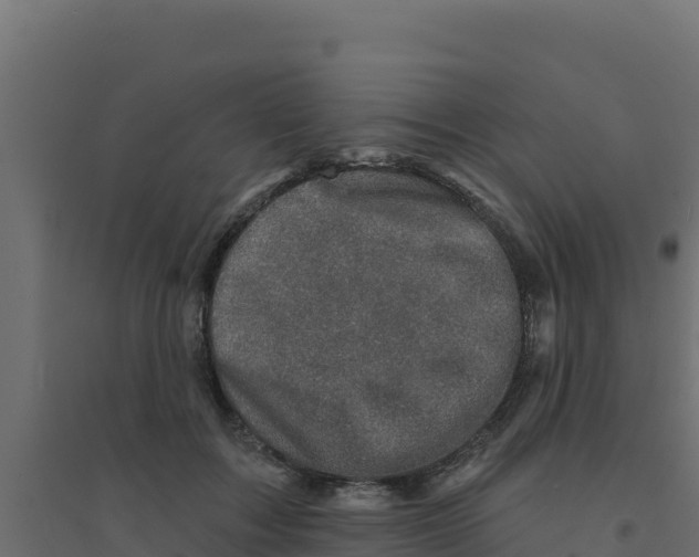 X0000094190603200711241617