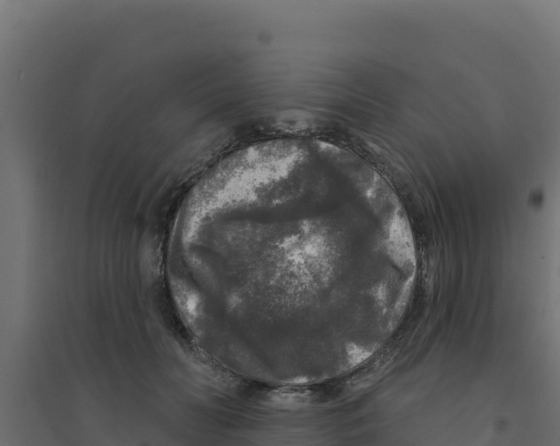 X0000094190606200711241617