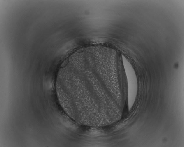 X0000094190608200711241617