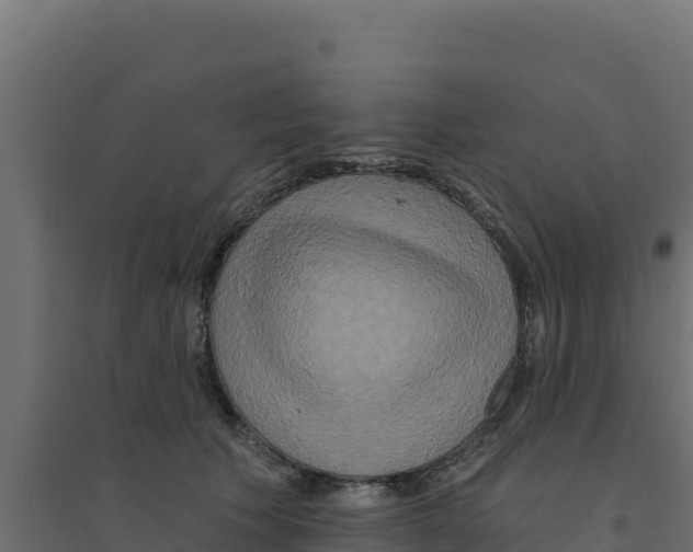 X0000094190609200711241617