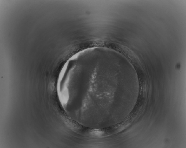 X0000094190610200711241617