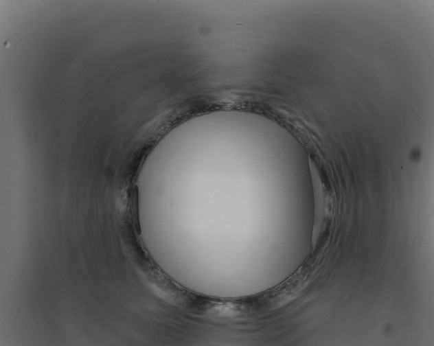 X0000094190611200711241617