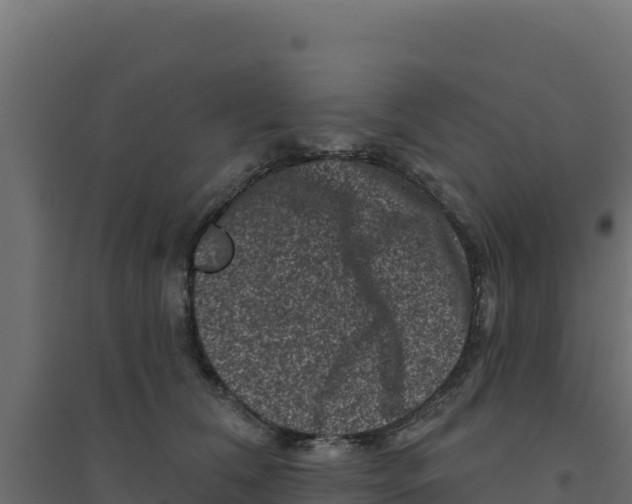 X0000094190612200711241617
