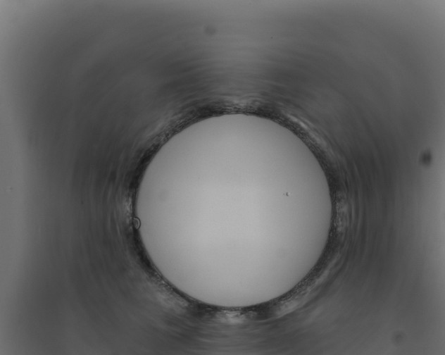 X0000094190613200711241617