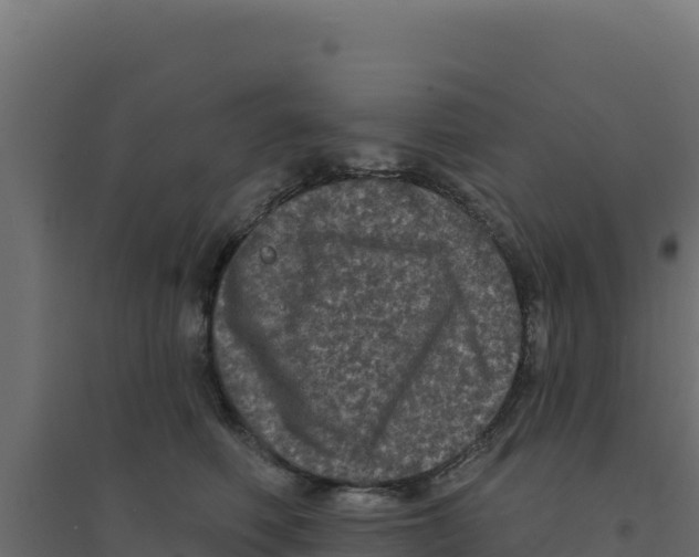 X0000094190614200711241617
