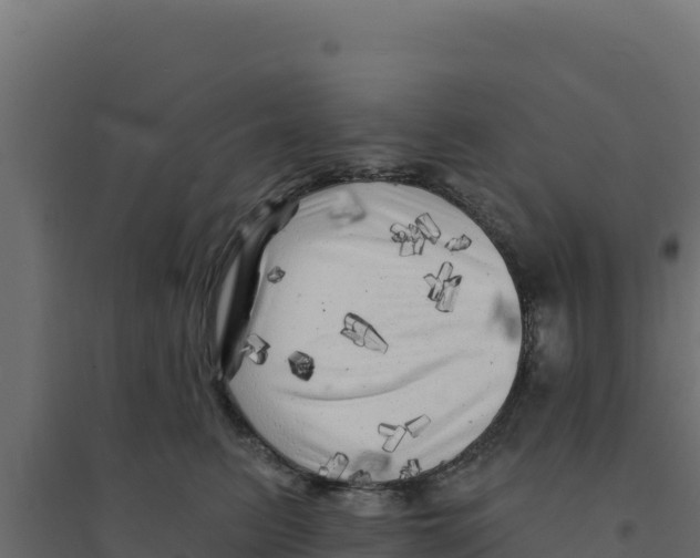 X0000094190615200711241617