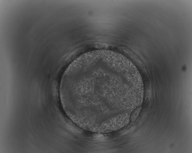 X0000094190616200711241617