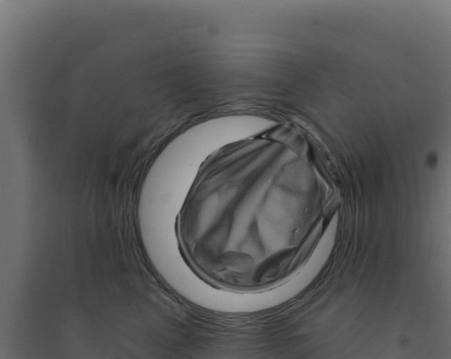X0000094190617200711241617