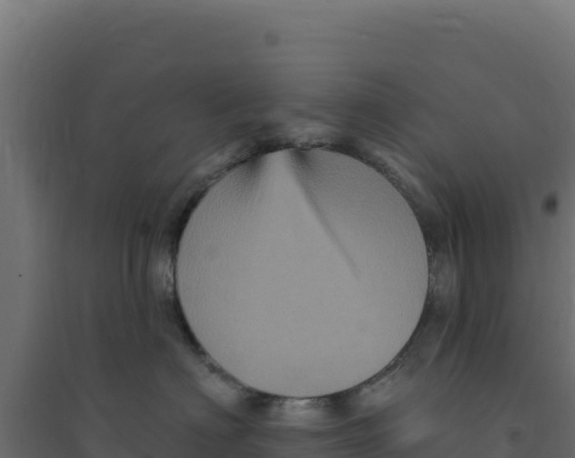 X0000094190622200711241616