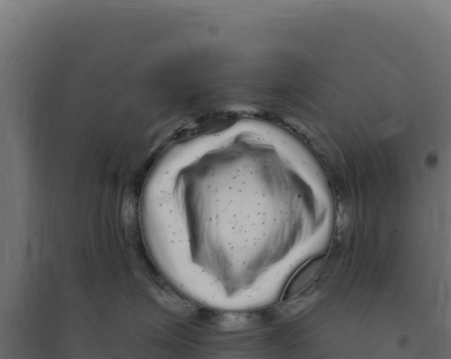 X0000094190623200711241616