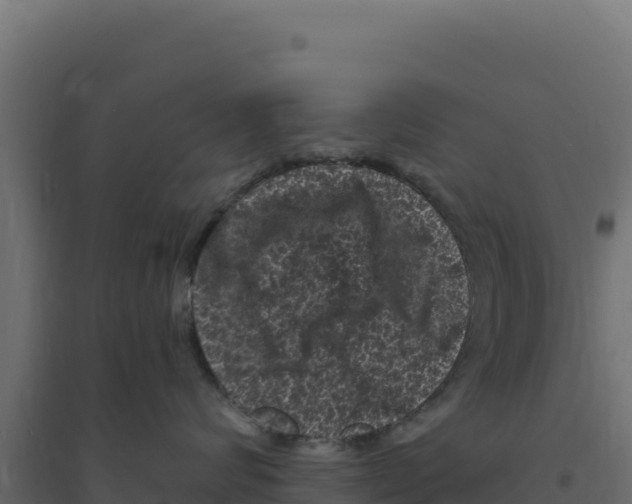 X0000094190624200711241616