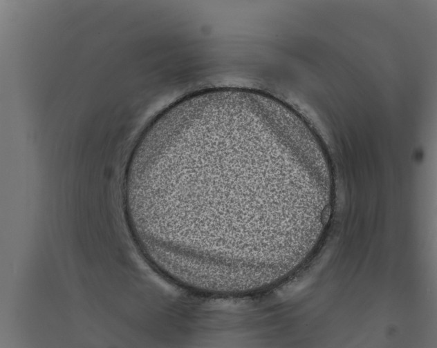 X0000094190625200711241616