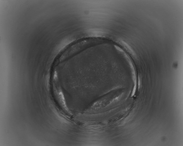 X0000094190627200711241616