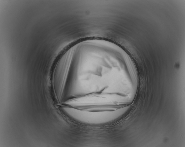 X0000094190628200711241616