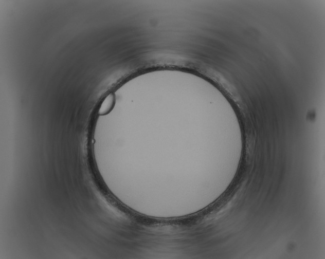 X0000094190629200711241616