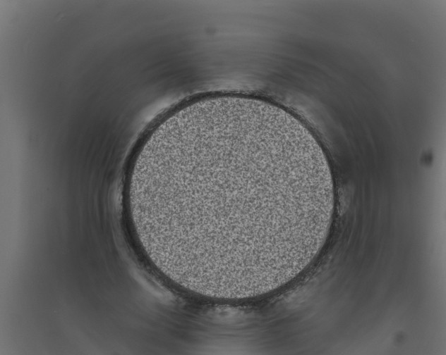 X0000094190632200711241616