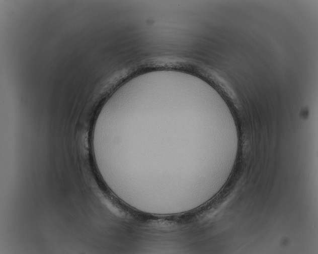 X0000094190633200711241616