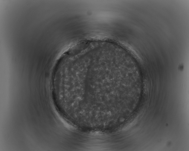 X0000094190634200711241616