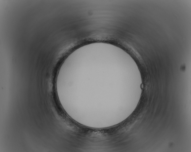 X0000094190635200711241616