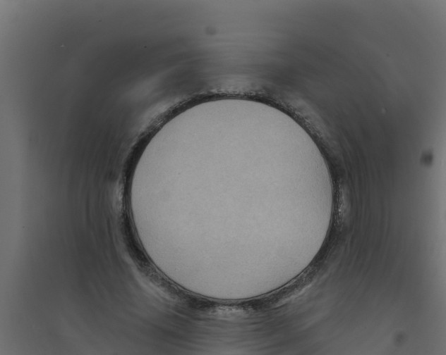 X0000094190636200711241616