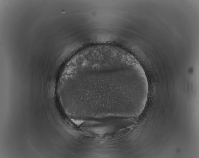 X0000094190640200711241616