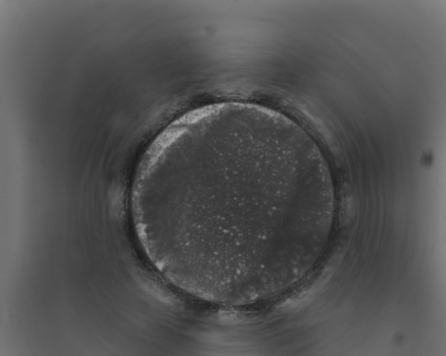 X0000094190641200711241616