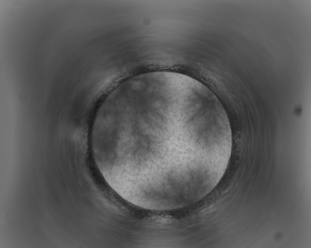 X0000094190642200711241616