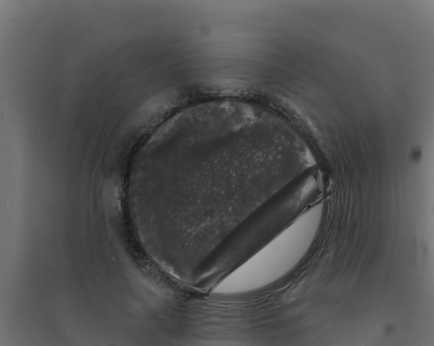 X0000094190643200711241616