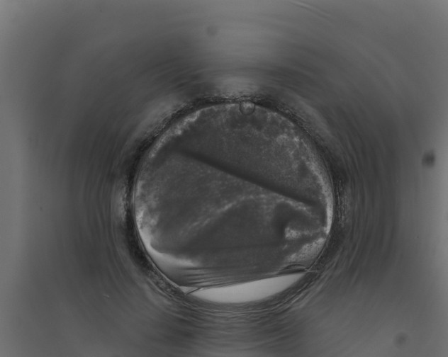 X0000094190644200711241616