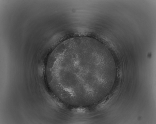 X0000094190647200711241616