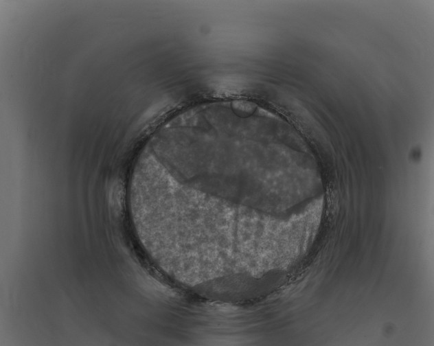 X0000094190648200711241616