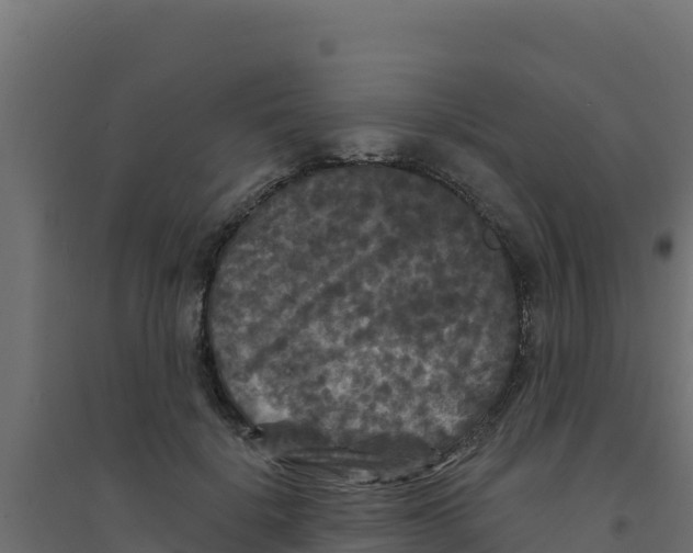 X0000094190652200711241616