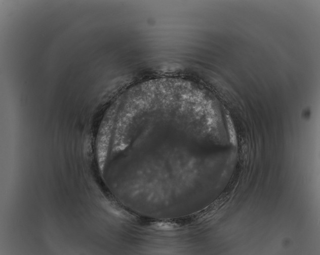 X0000094190654200711241616