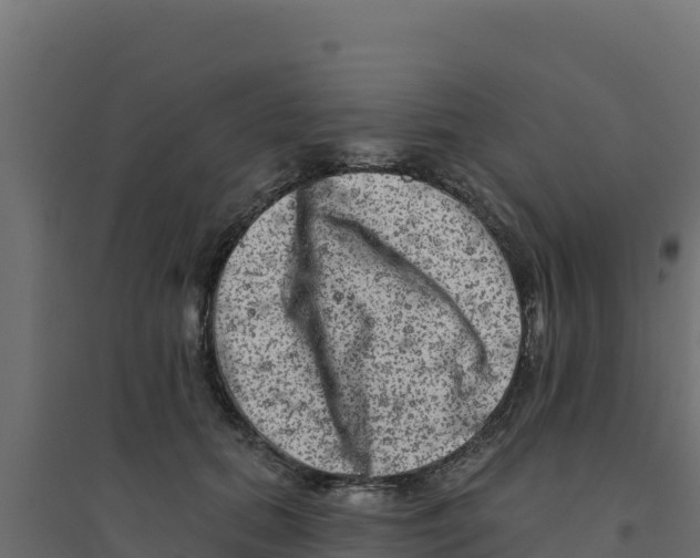 X0000094190655200711241616