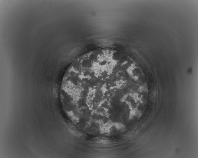 X0000094190658200711241616