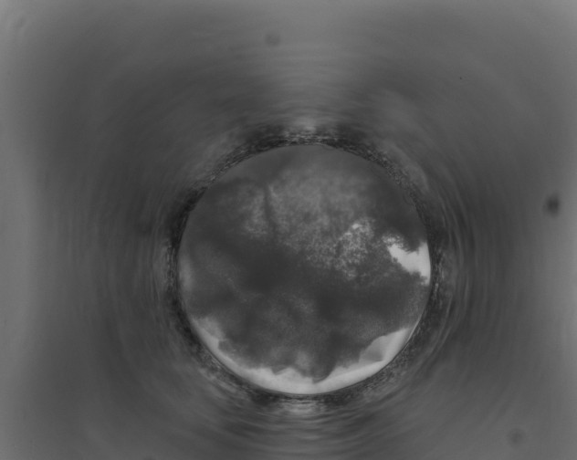 X0000094190659200711241616