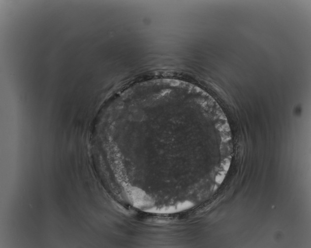 X0000094190661200711241616