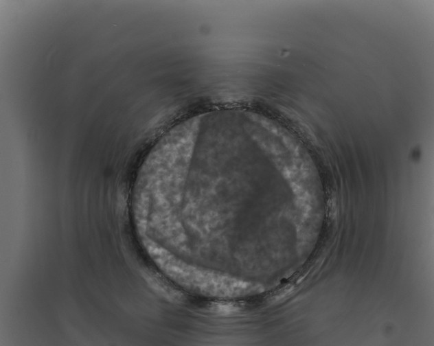 X0000094190662200711241616
