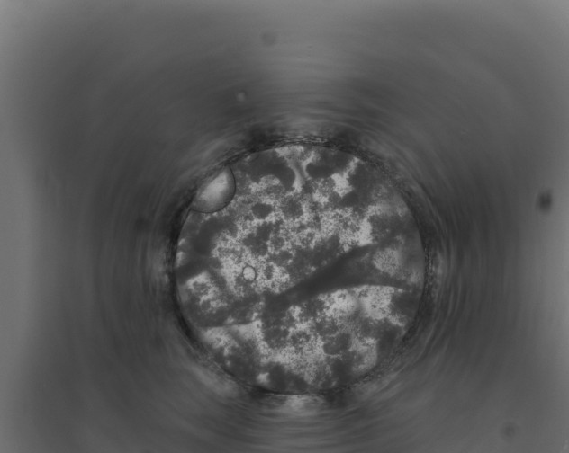 X0000094190663200711241616