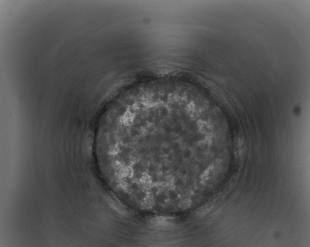 X0000094190664200711241616