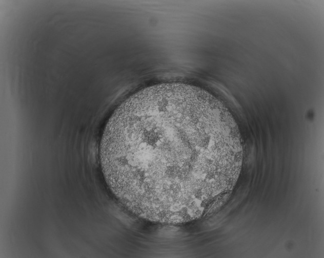 X0000094190669200711241616