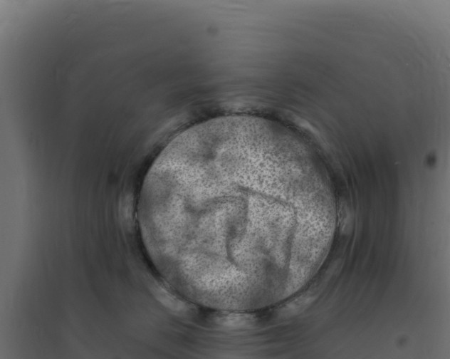 X0000094190670200711241616