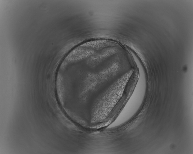 X0000094190673200711241616