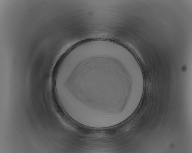 X0000094190674200711241616