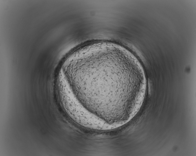 X0000094190675200711241616