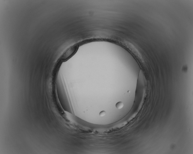 X0000094190676200711241616
