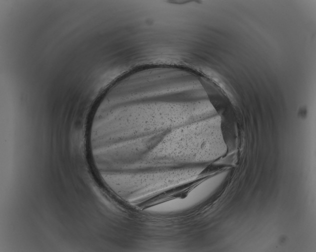 X0000094190677200711241616