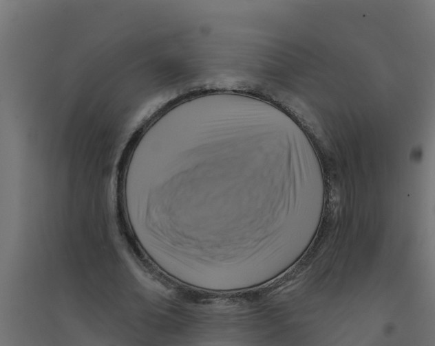 X0000094190678200711241615
